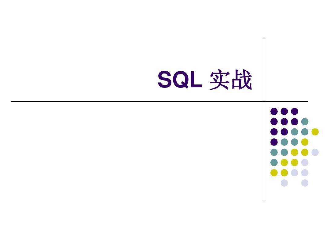 第十三讲 SQL实战