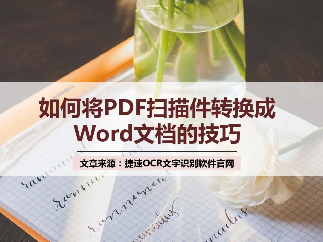 如何将PDF扫描文件转换成word文档的技巧