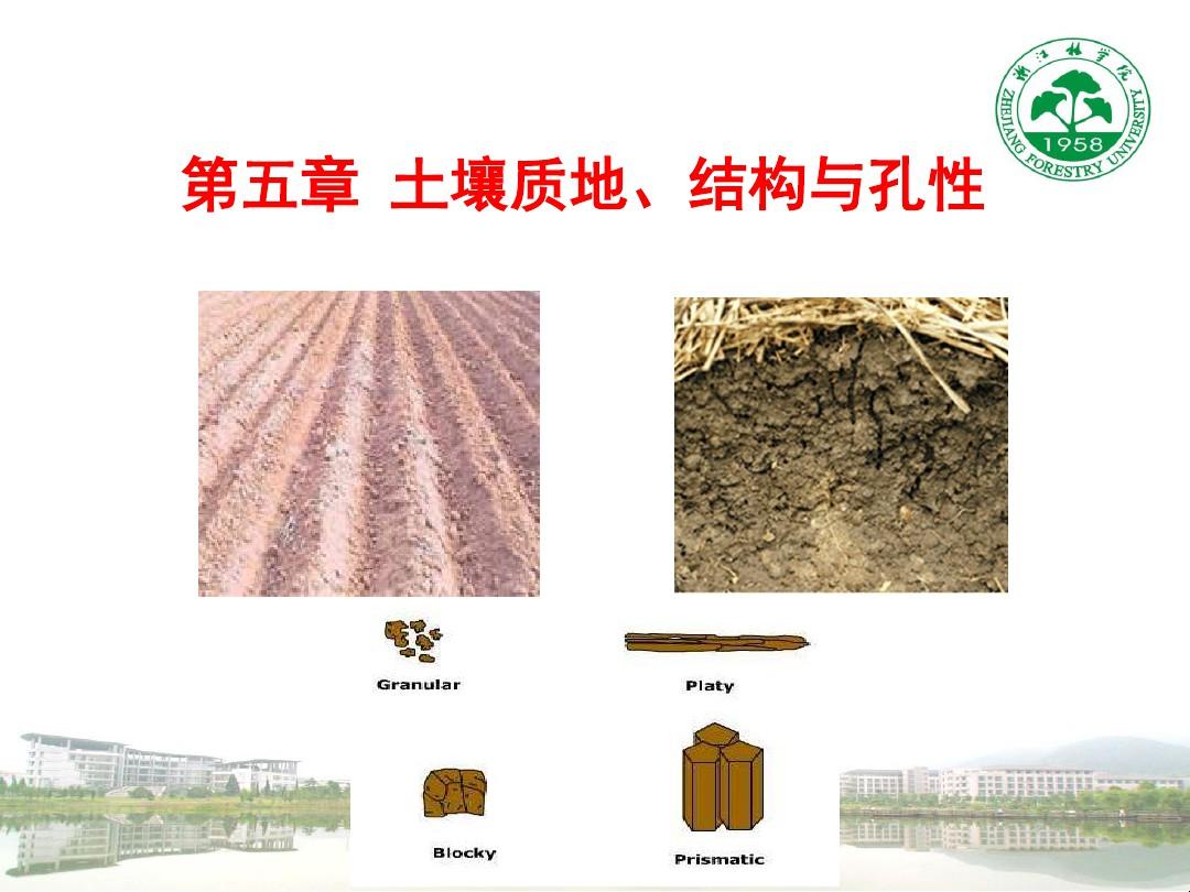 第五章土壤质地`结构与孔性土壤粒级`土壤质地的概念`分类标准