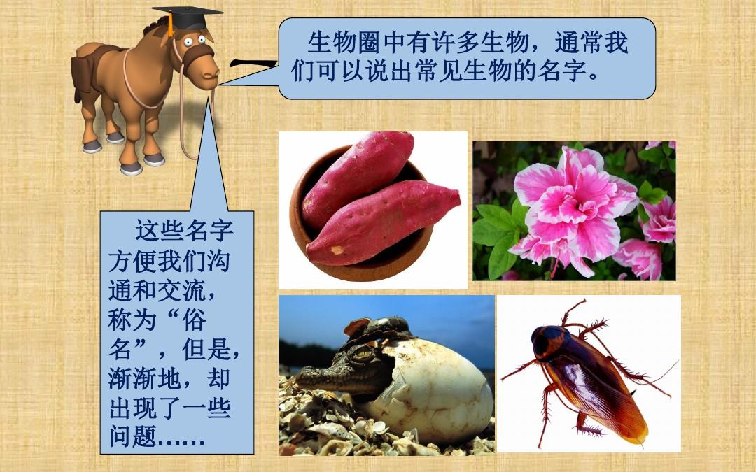 北京版生物八年级下册全册课件