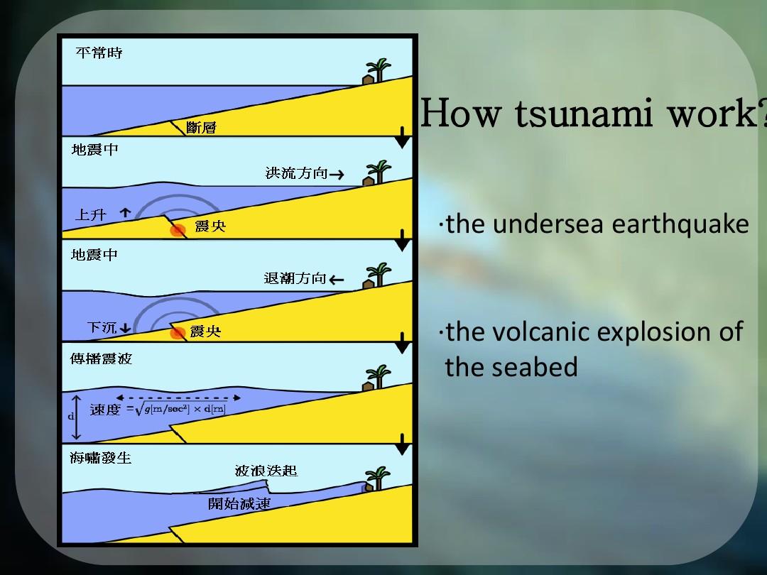tsunami海啸介绍英语PPT
