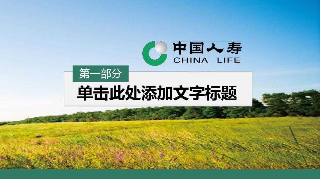 中国人寿中国人寿保险业务介绍PPT模板