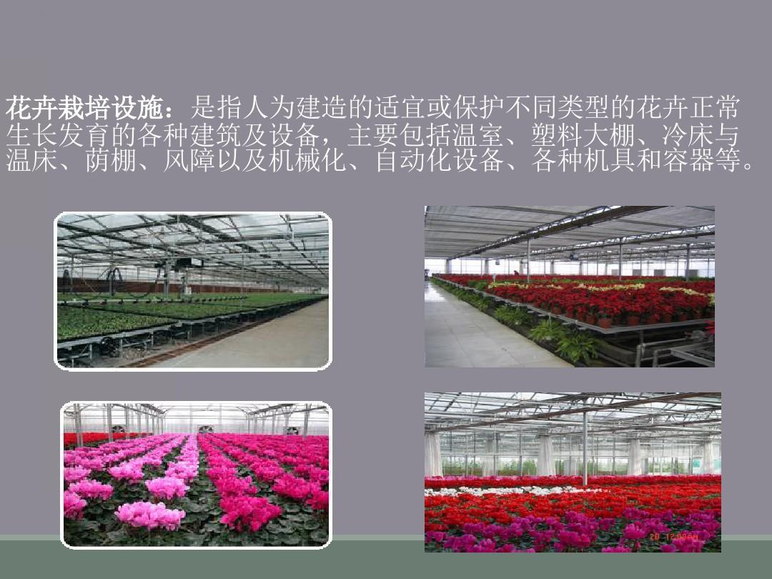 花卉栽培的基本要求和设施及管理