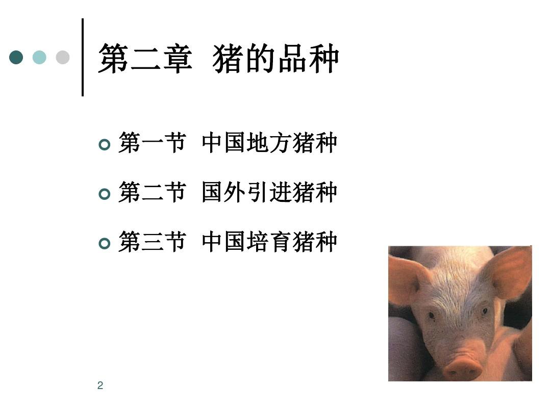 中国地方猪种