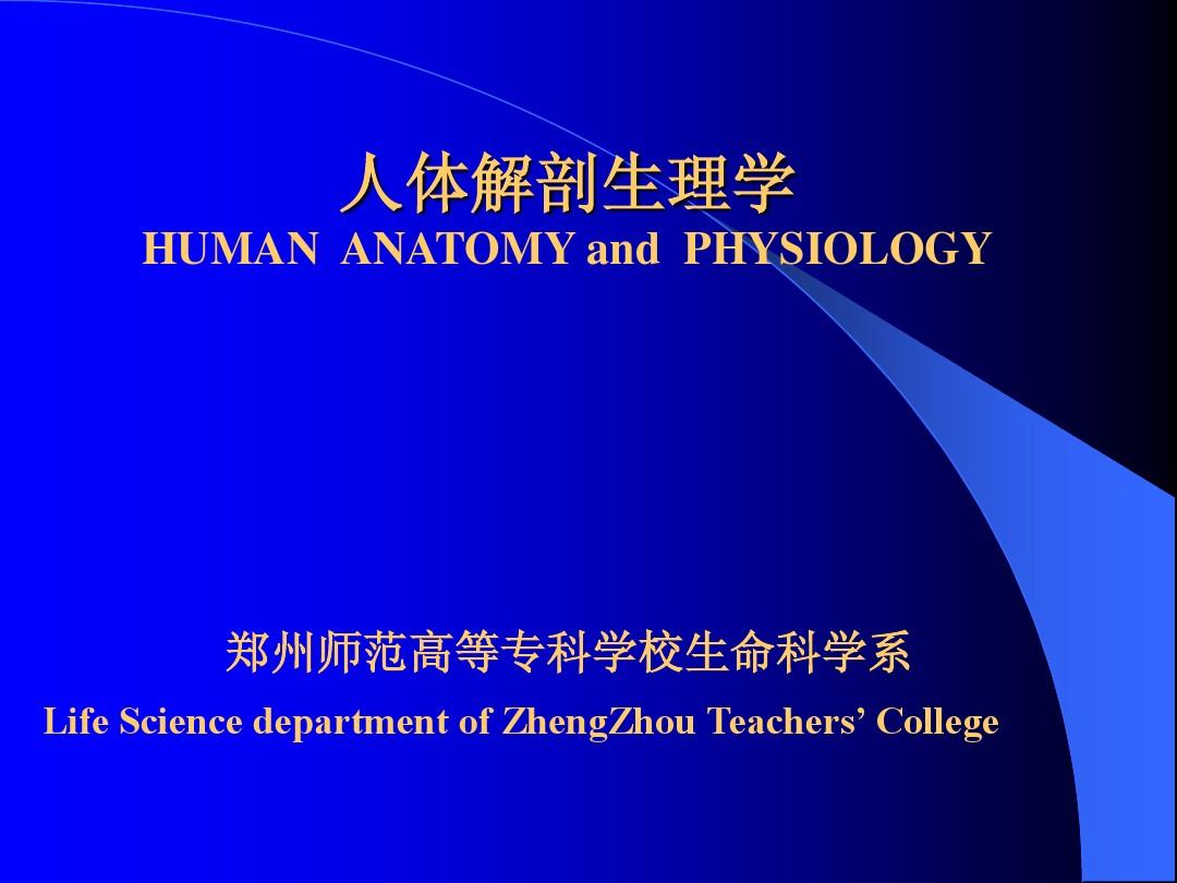 人体解剖生理学 神经系统课件