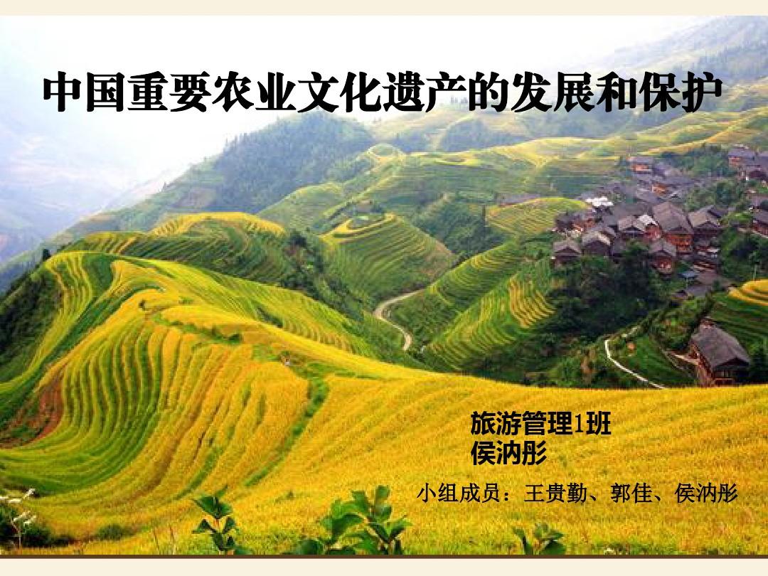 中国重要农业文化遗产的发展和保护
