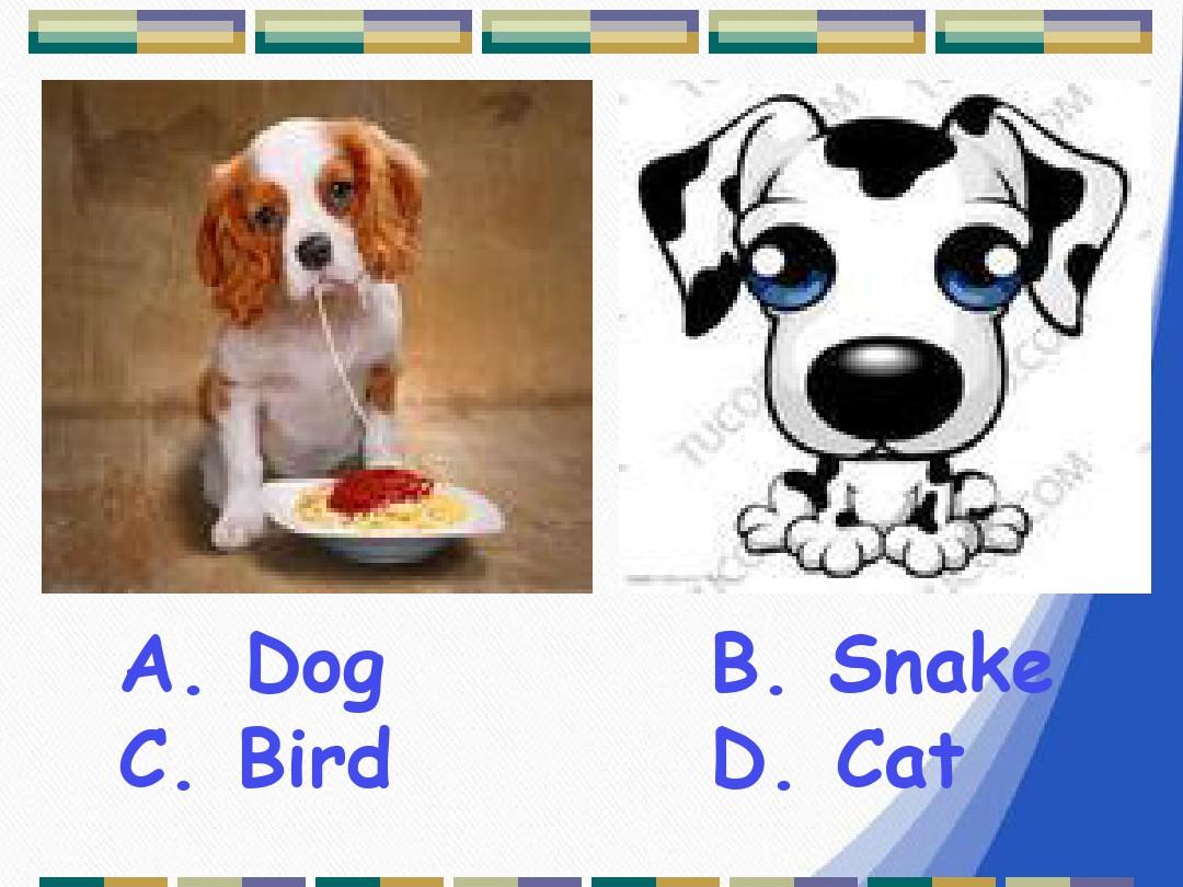 英语单词分类汇总各种常见动物