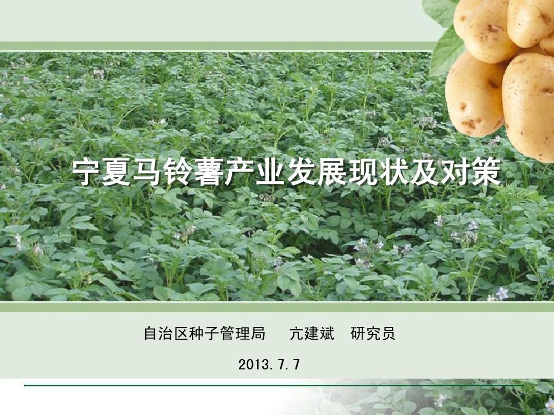 现代农业马铃薯报告提纲07.7