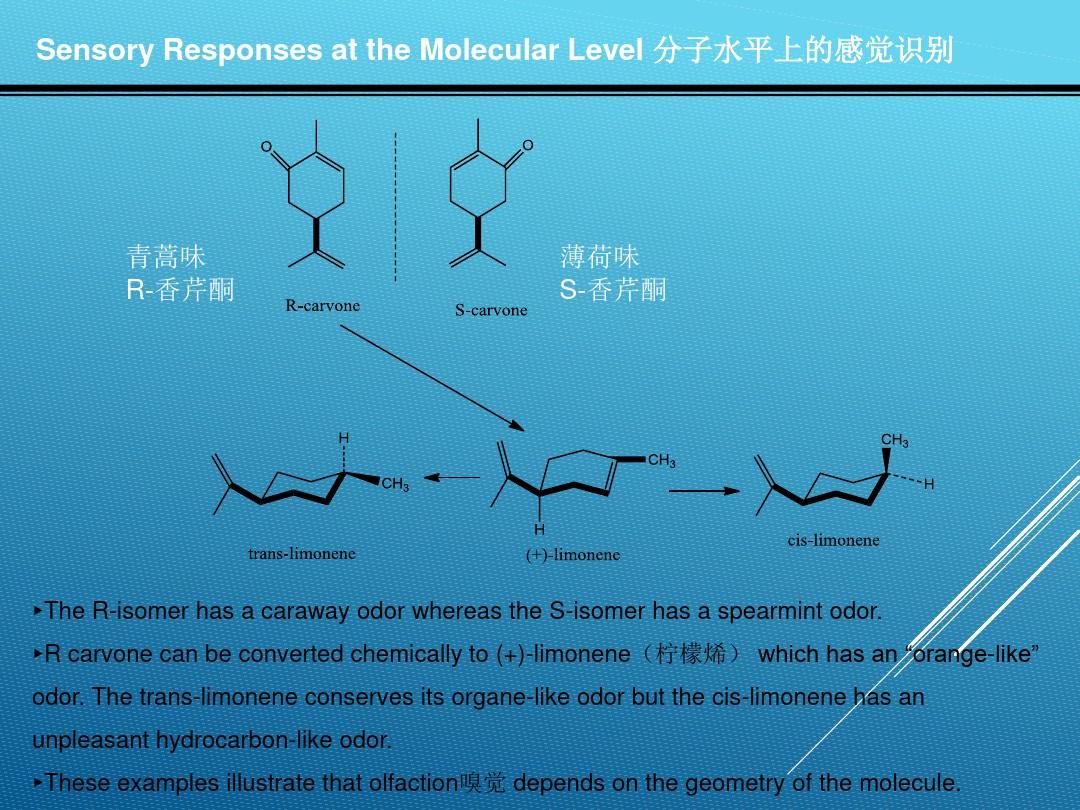重庆大学生物有机化学_第四章 酶化学 第二节