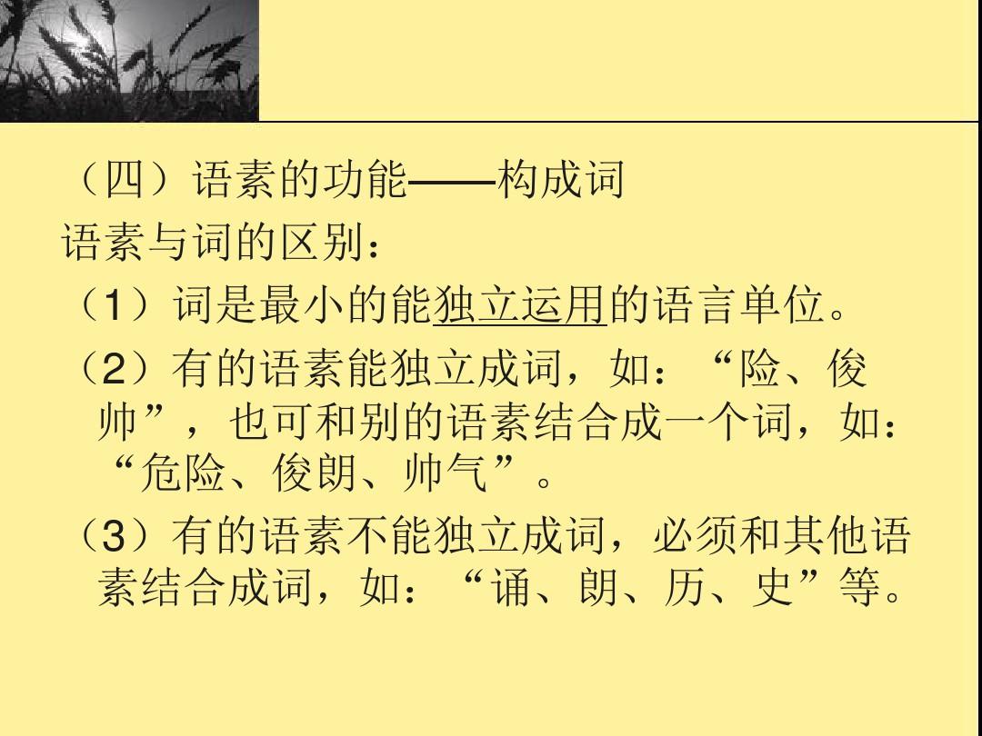 《现代汉语》第四章语素知识讲解