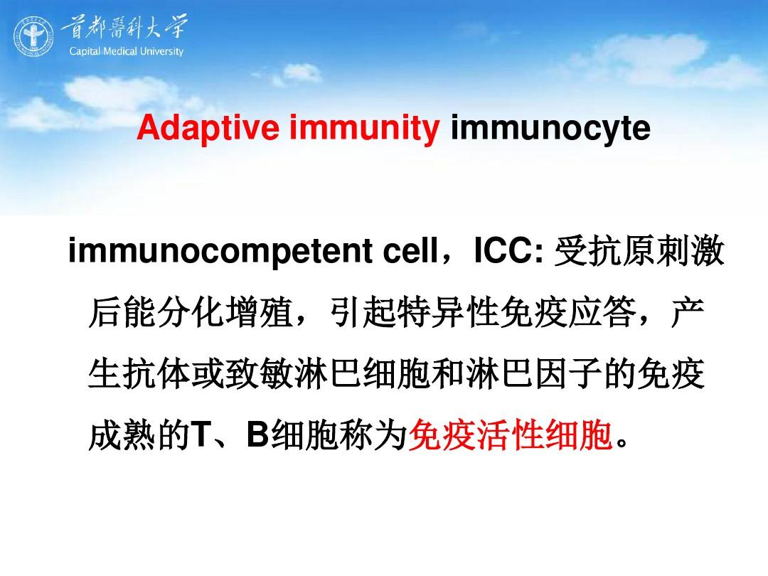 执行适应性免疫应答的细胞
