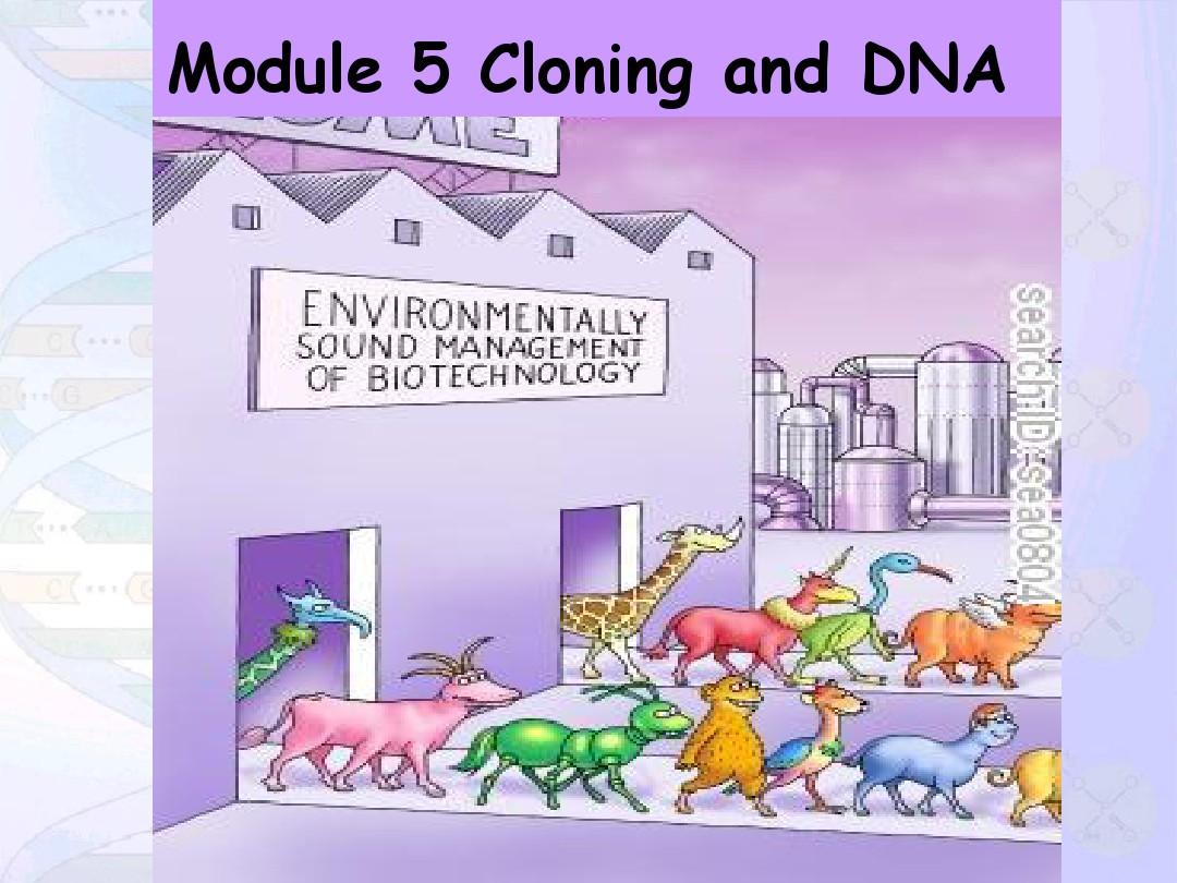 cloning_and_DNA