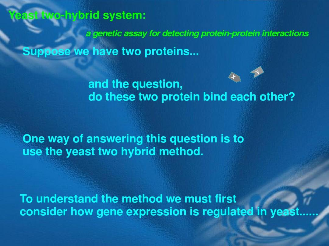 一 酵母双杂交系统原理 (Yeast Two-hybrid System)