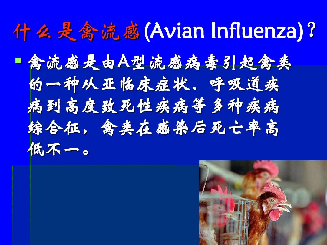 高致病力禽流感病毒 - 山东畜牧兽医职业学院