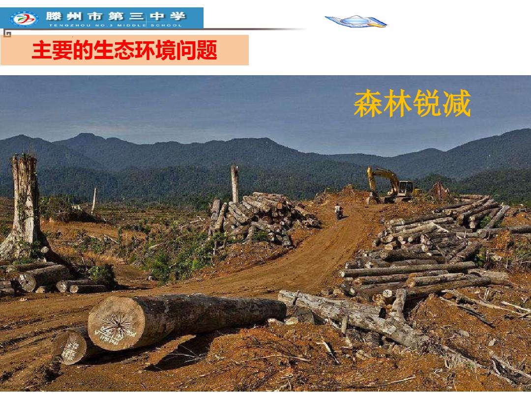 中国的生态环境问题 ppt课件