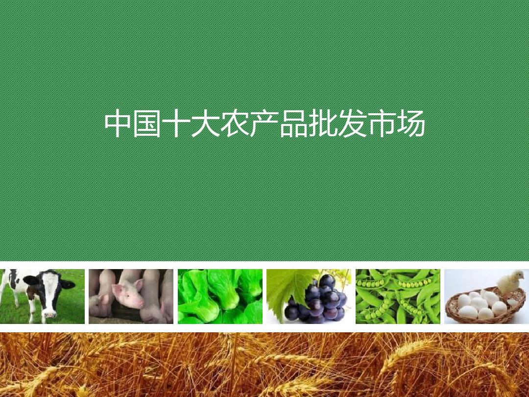 (完整版)中国十大农产品批发市场