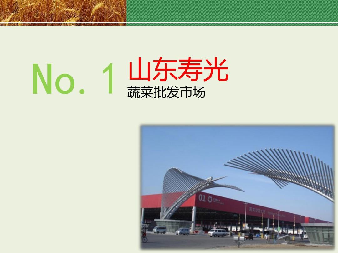 (完整版)中国十大农产品批发市场