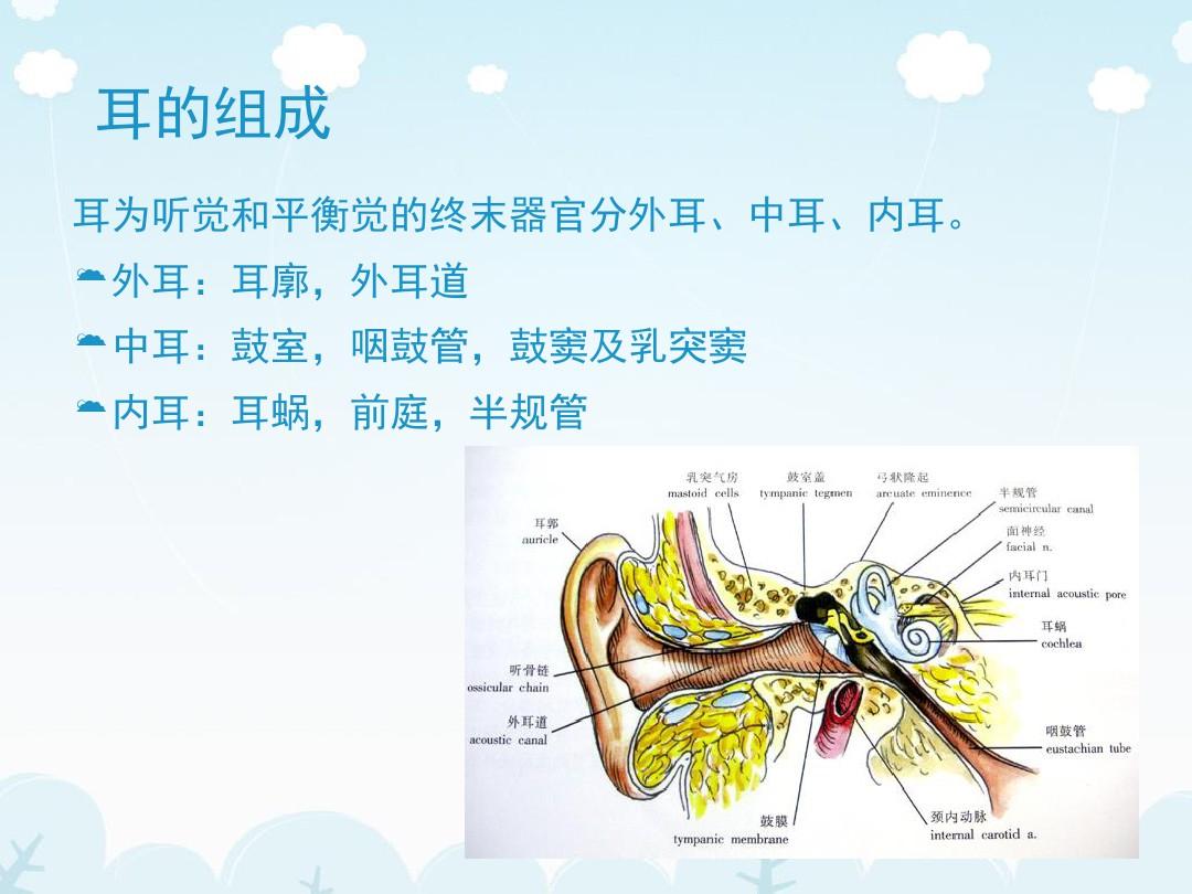 医学影像 耳的CT影像解剖及常见疾病诊断