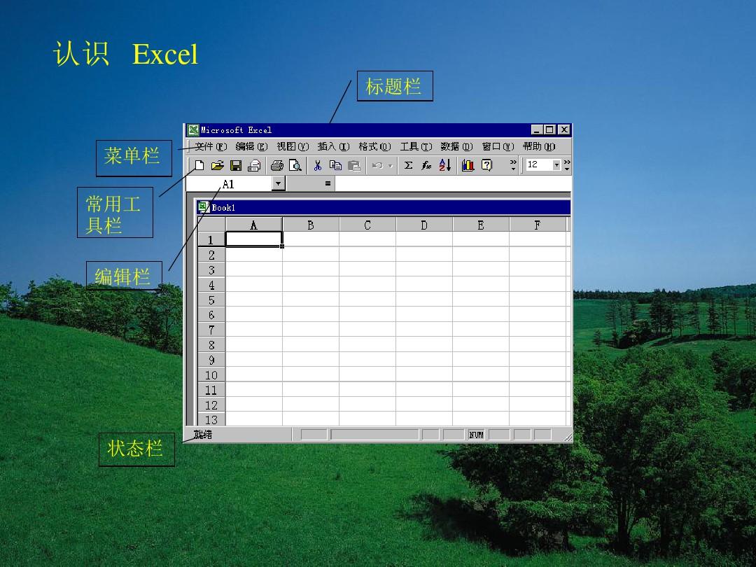 初中信息技术用Excel 处理数据