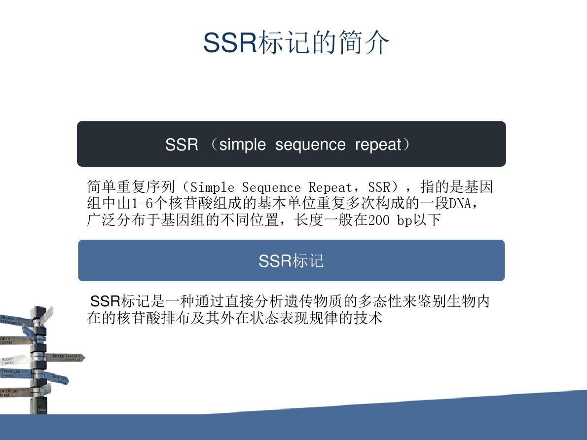 SSR分子标记讲解