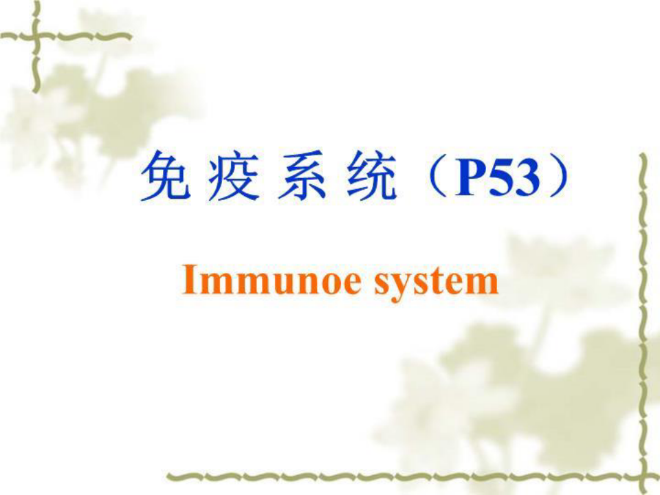 6免疫系统 PPT课件