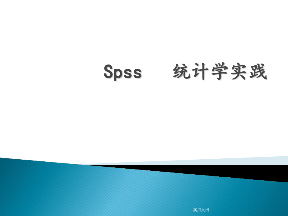 SPSS数据录入(一)