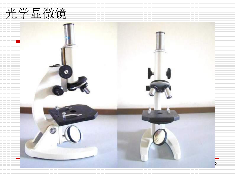 显微镜的结构及使用方法