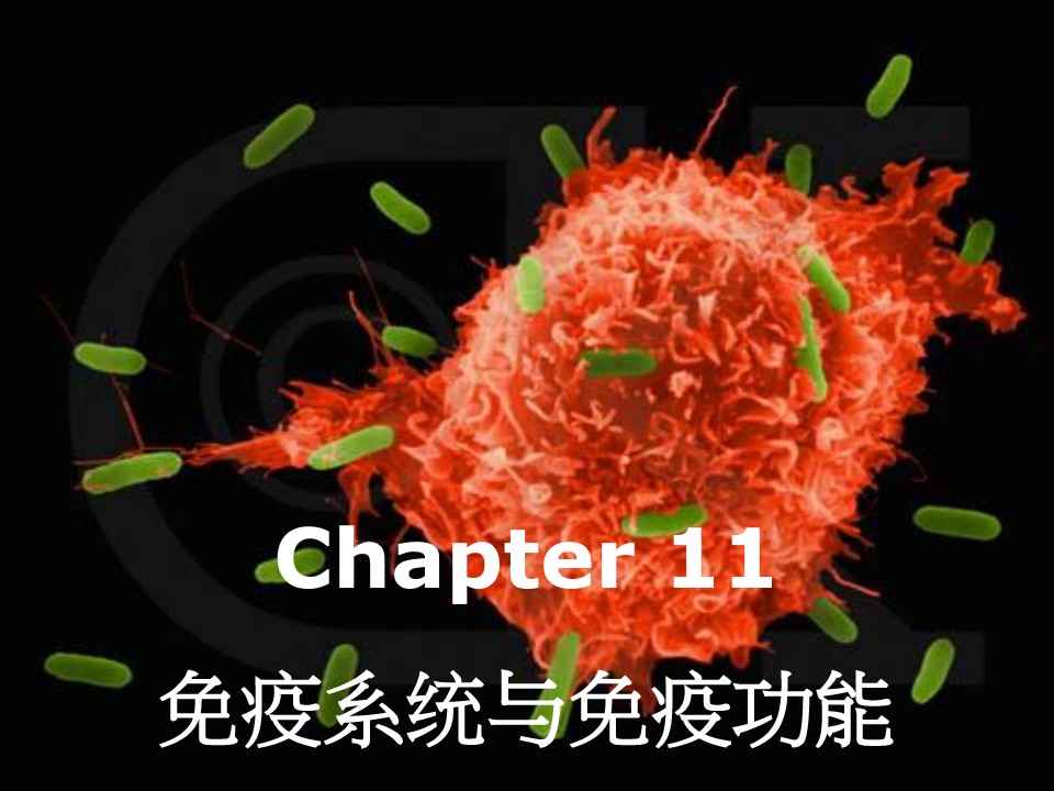 普通生物学-11免疫系统与免疫功能