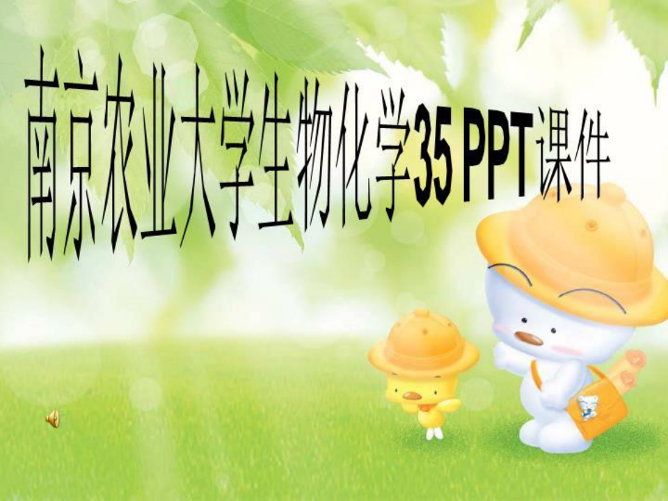 南京农业大学生物化学35 PPT课件