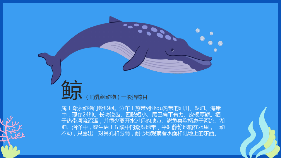 蓝色手绘卡通风幼儿海洋生物介绍启蒙PPT课件