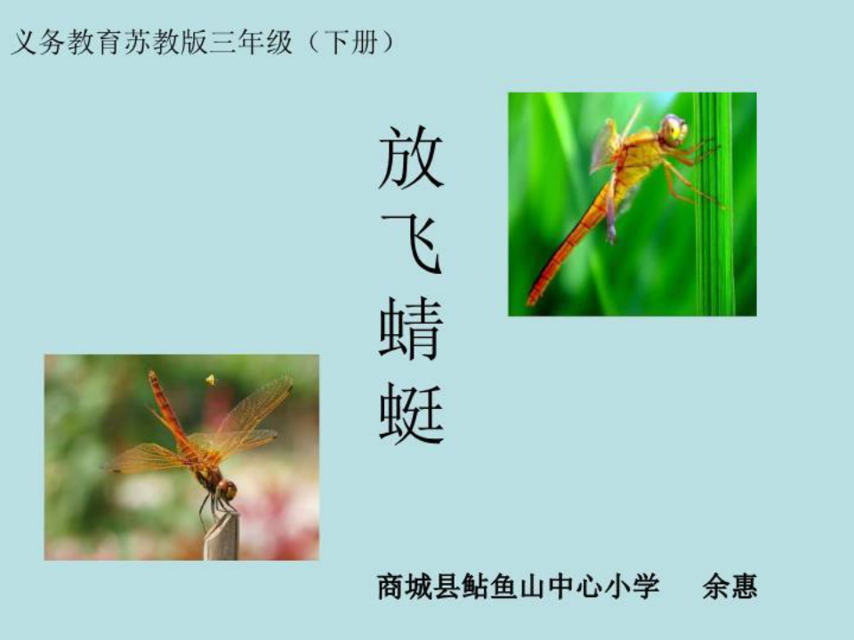 【小学】语文S版三下《放飞蜻蜓》ppt课件1