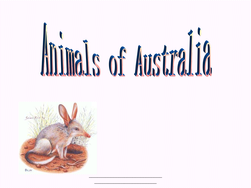 最新澳大利亚动物介绍 AUSTRALIA ANIMALS(英文)