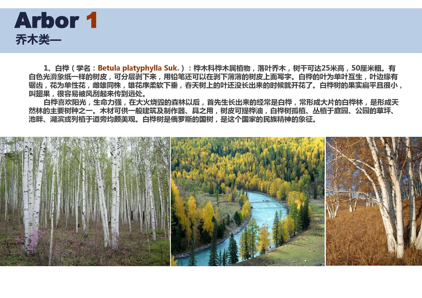 西藏地区常用园林植物16.02