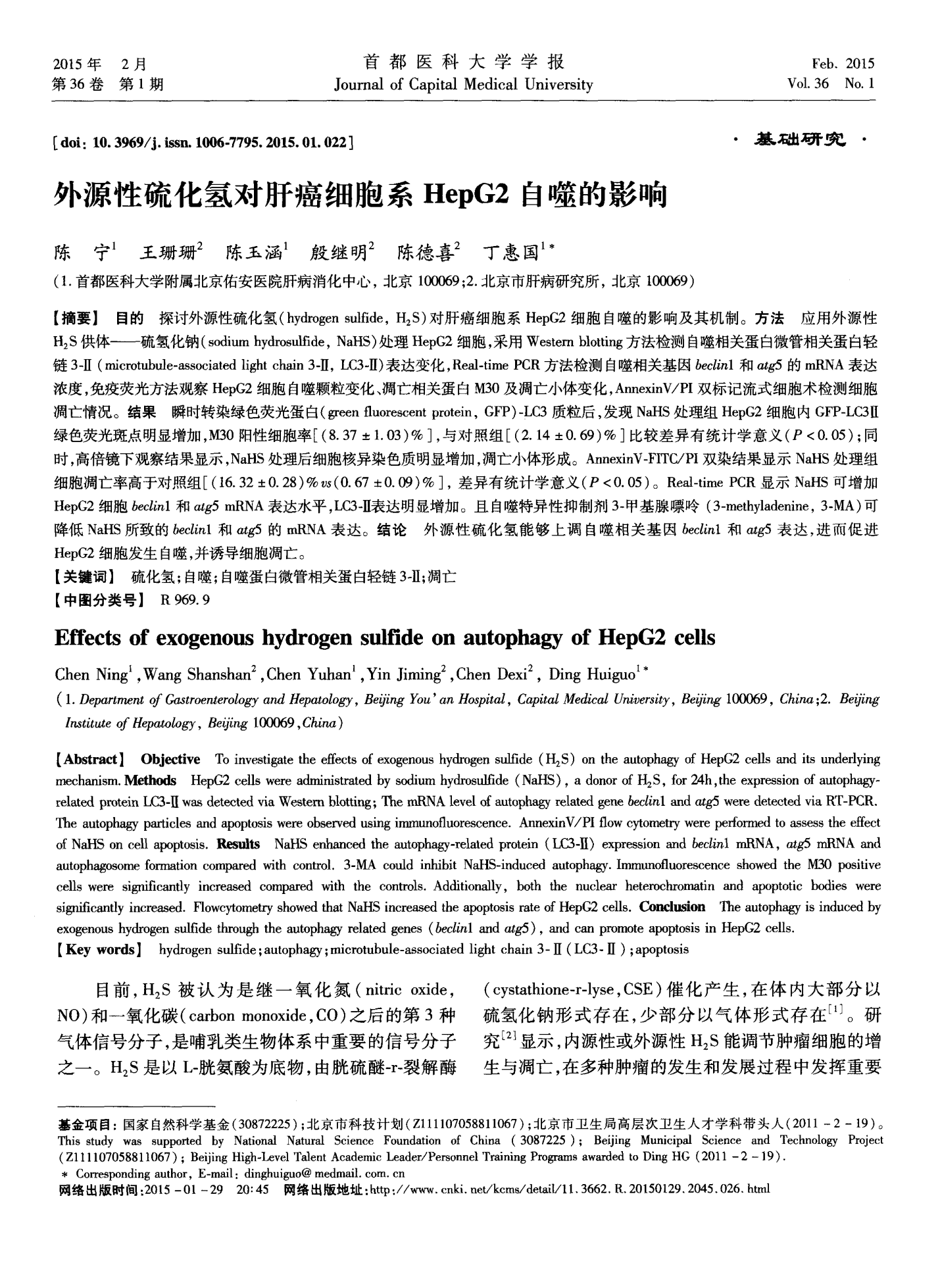 外源性硫化氢对肝癌细胞系HepG2自噬的影响
