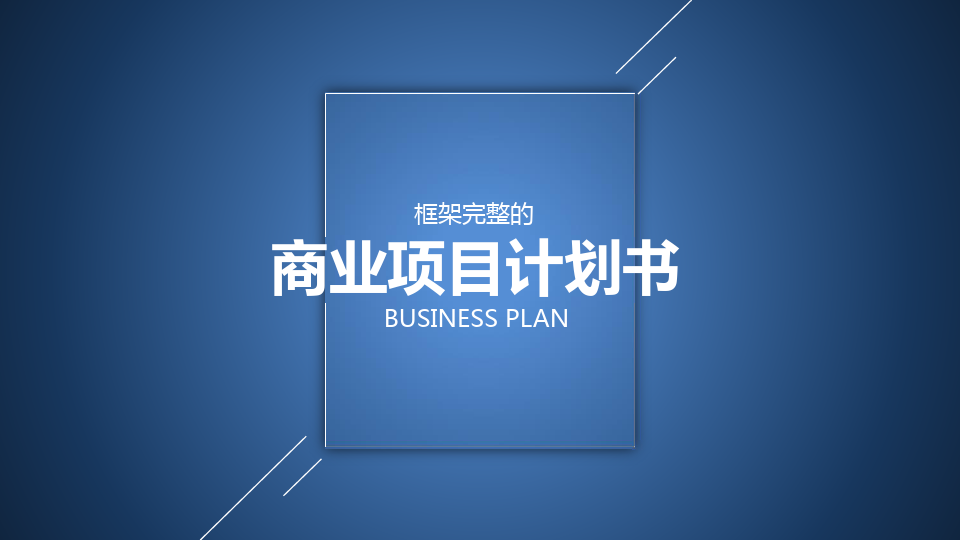 蓝白简约框架商业项目计划书模板PPT