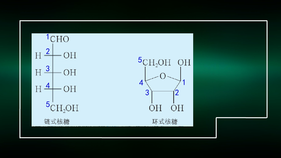高二【化学(鲁科版)】醛和酮  糖类和核酸(3)-课件