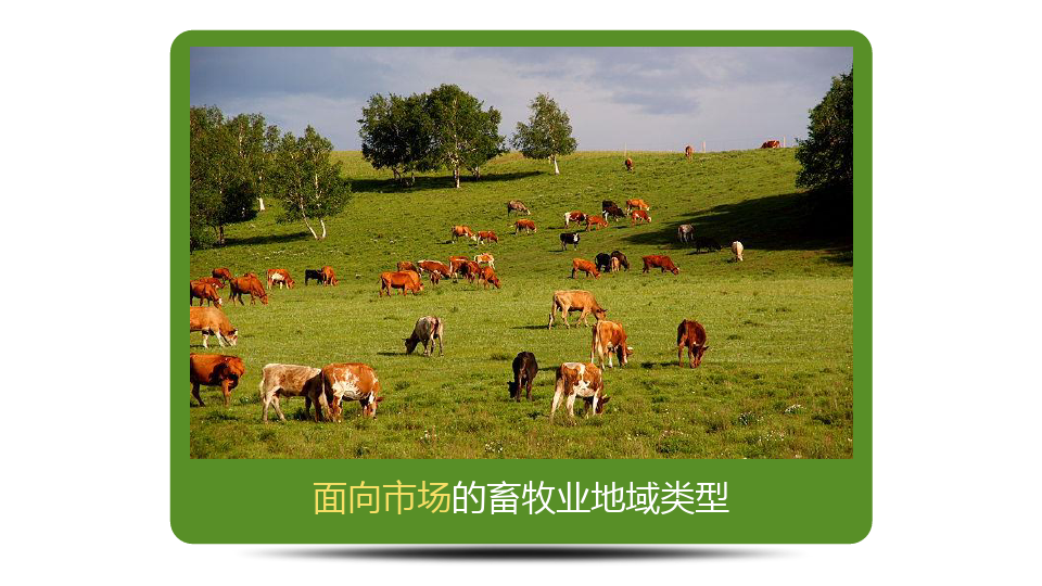83以畜牧业为主的农业地域类型