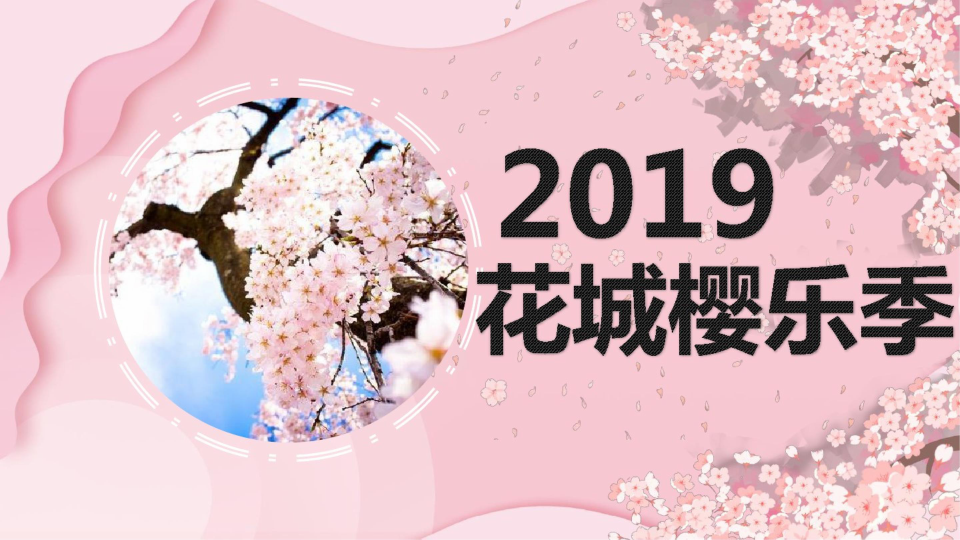 2019花城浪漫樱乐季(樱花节)活动策划方案-168P