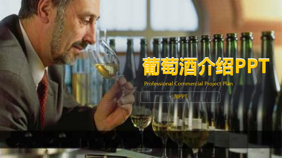 红酒葡萄酒产品宣传册 (6)