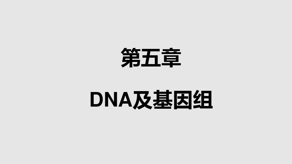 上海交通大学医学院分子生物学课程DNAPPT课件