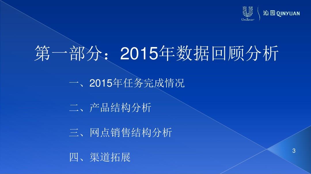 吴亚2015年度述职报告 (2)