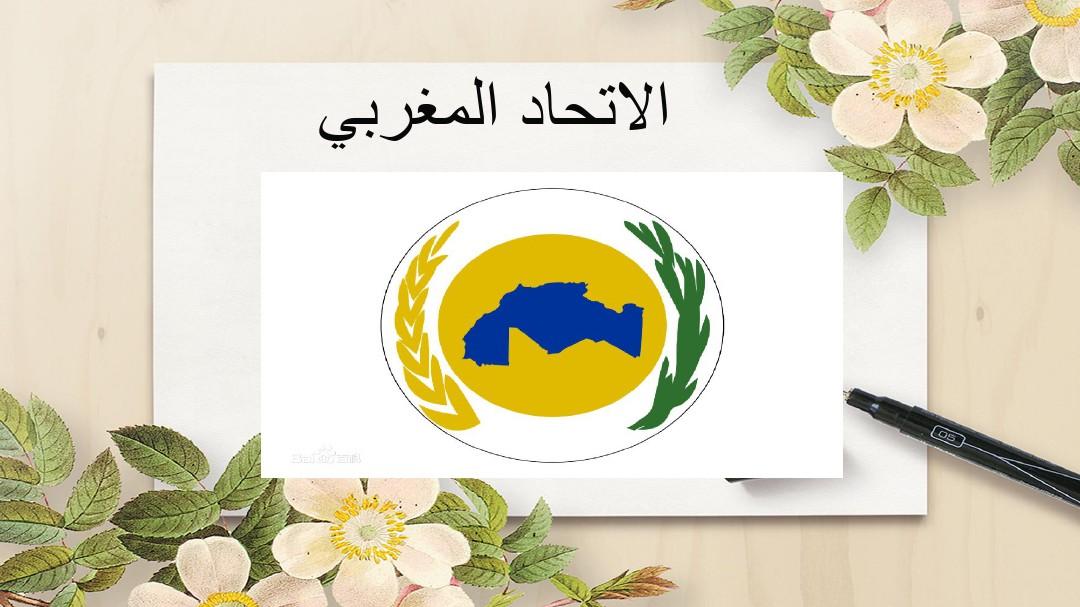 阿拉伯区域经济组织阿语介绍