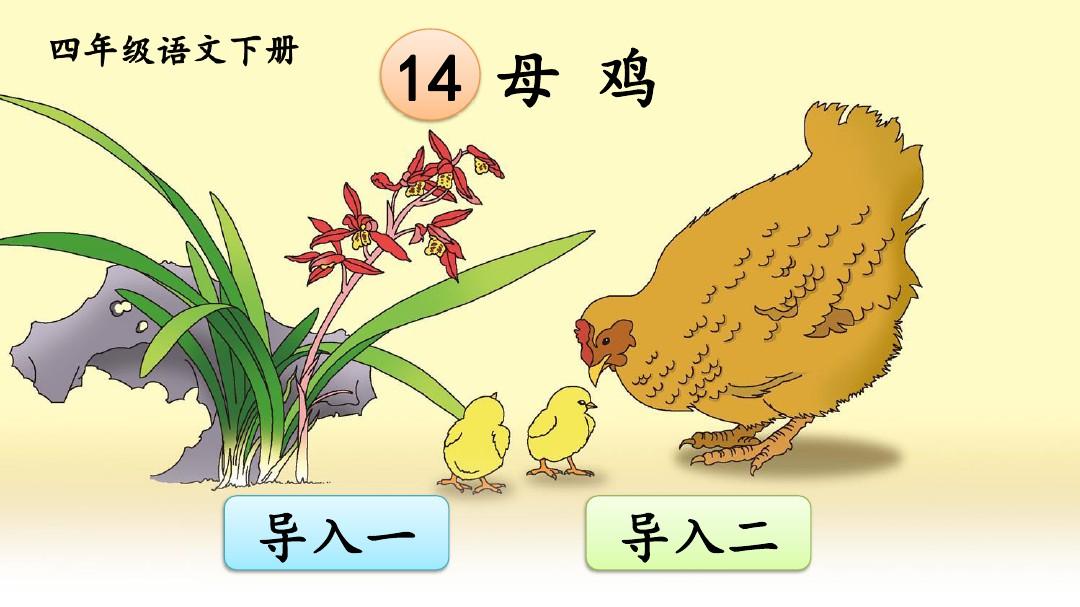 部编版四年级语文下册《母鸡》教材课件