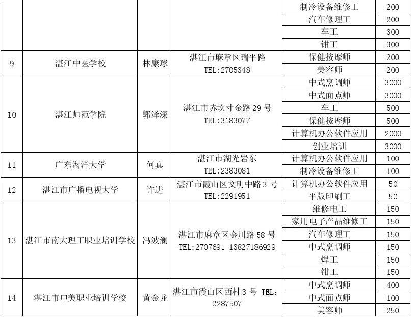 湛江市定点培训机构名单