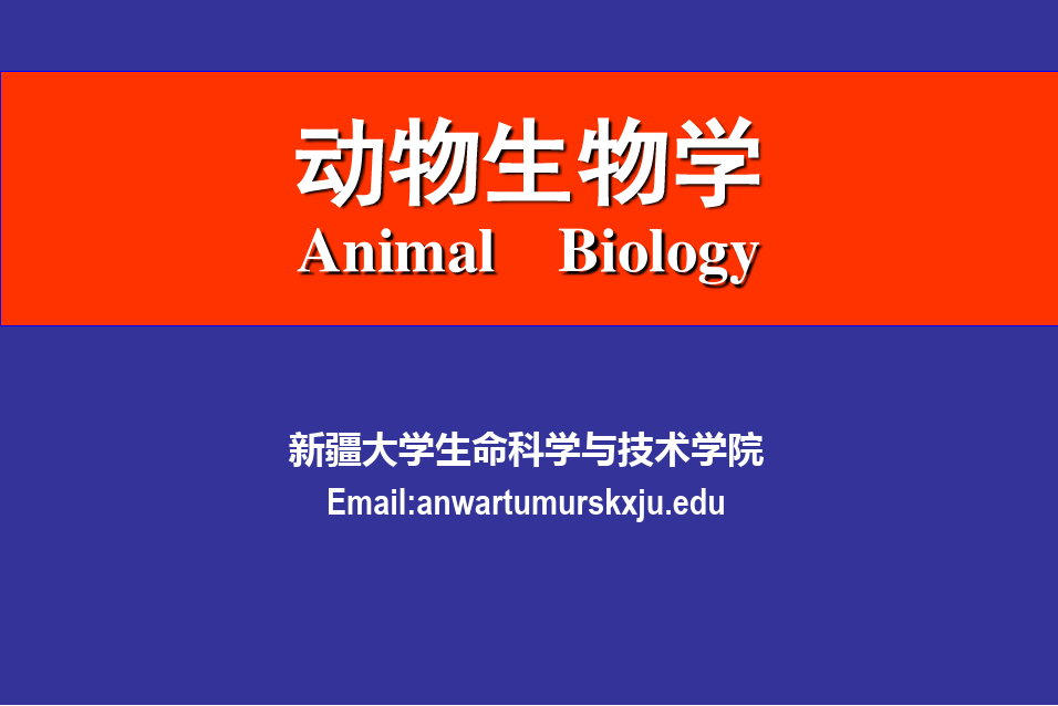 动物生物学-PPT课件