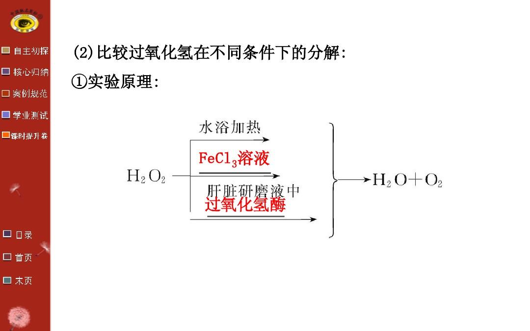 2013-2014学年高中生物必修一第5章  第1节降低化学反应活化能的酶