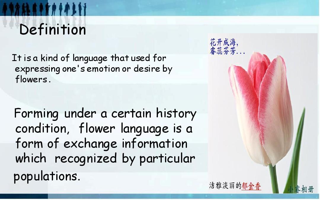 花语The language of flowers