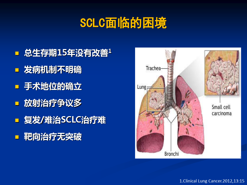 CSCO小细胞肺癌[PPT课件]