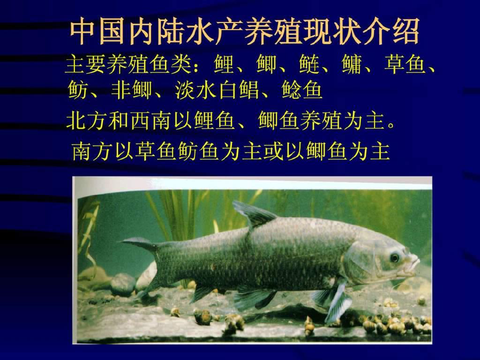 淡水鱼类营养及饲料(1)