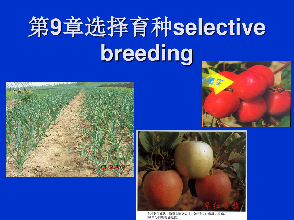 水产生物遗传育种学：第9章选择育种selective breeding